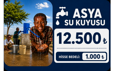 Asya Su Kuyusu